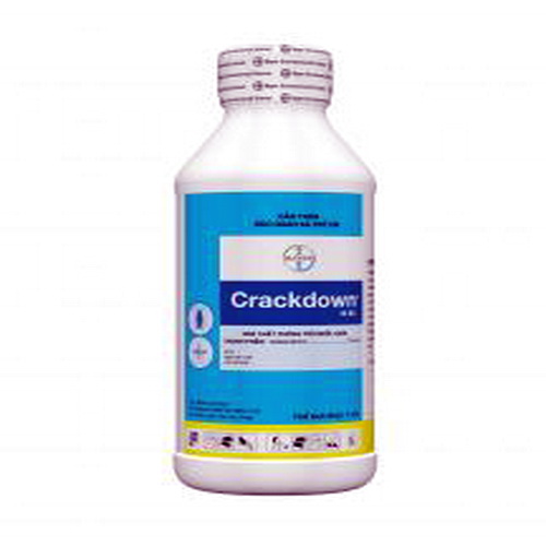 Crack Down