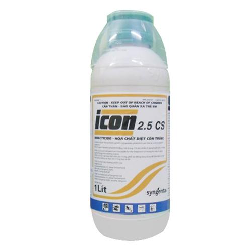 ICON 25CS